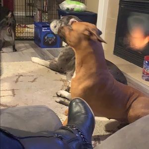 Meet your Posher, Mary